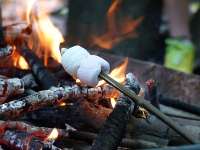 Forest School 
